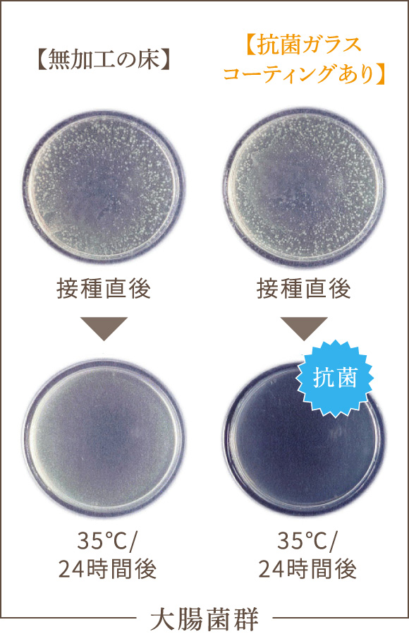 大腸菌群